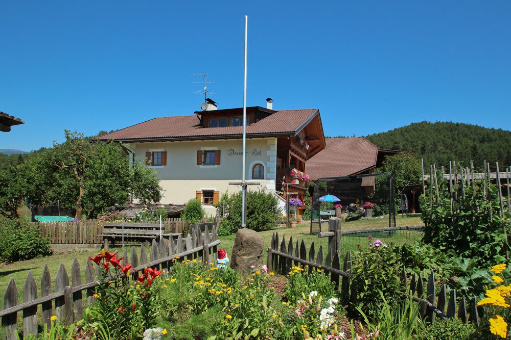 Godetevi una vacanza ricca di esperienze al maso sotto l‘ Alpe di Siusi!