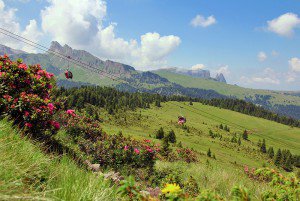 Naturpark Schlern-Rosengarten: Bad Ratzes - Proßliner Schwaige - Schlernbödele-Hütte - Bad Ratzes